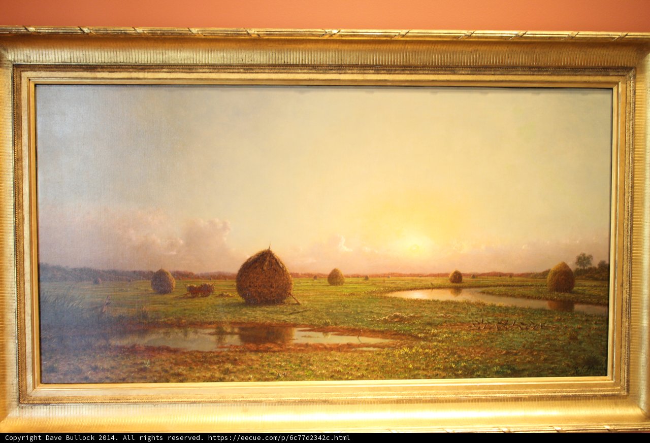 Harvest in the Field