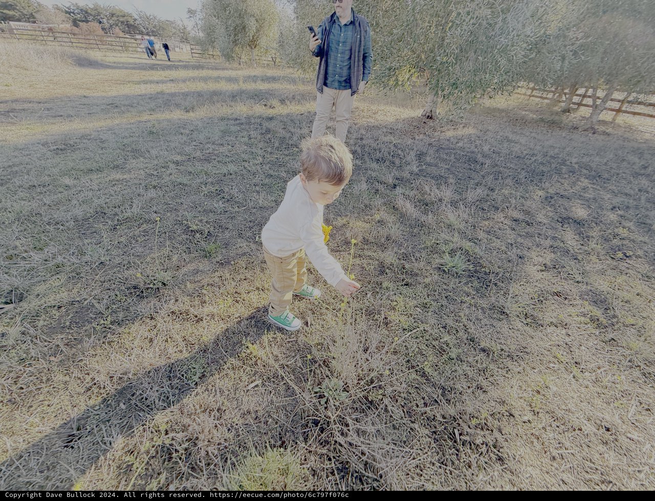 Child Exploring Frost-Covered Field with Parent Watching