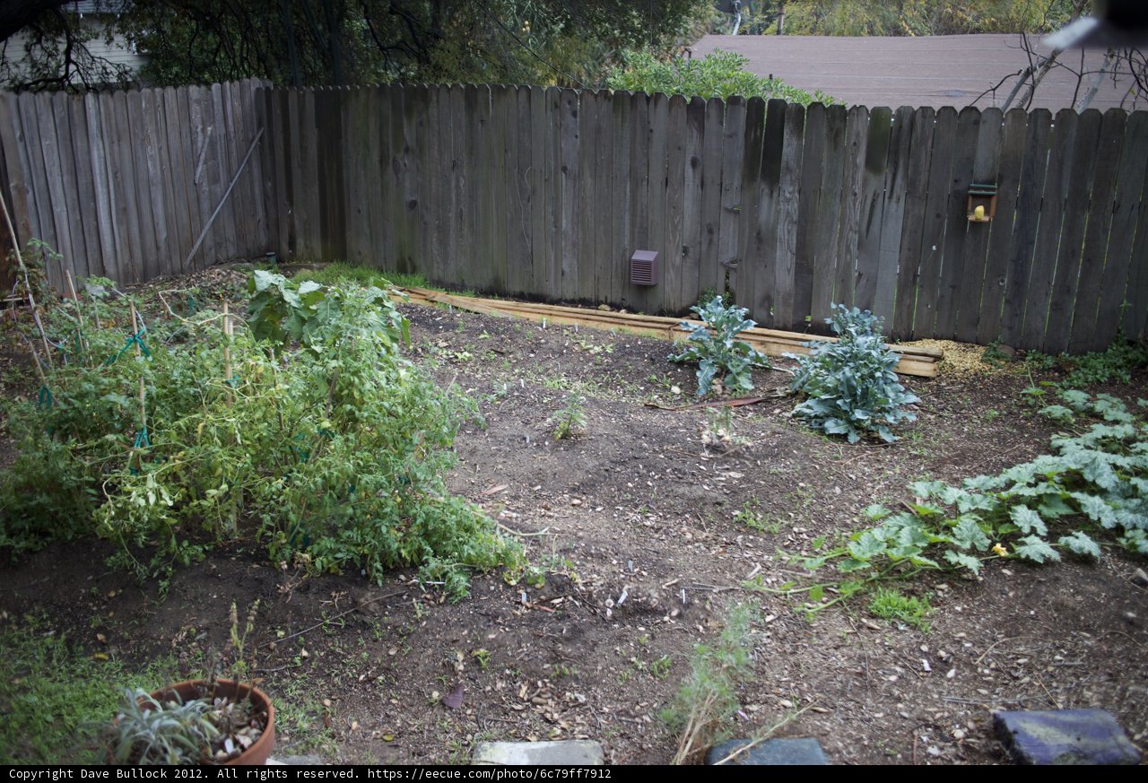 A Backyard Garden Oasis