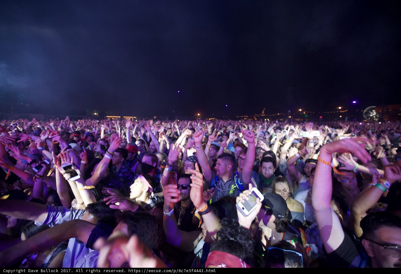 Glasses and Hands in the Air at Coachella