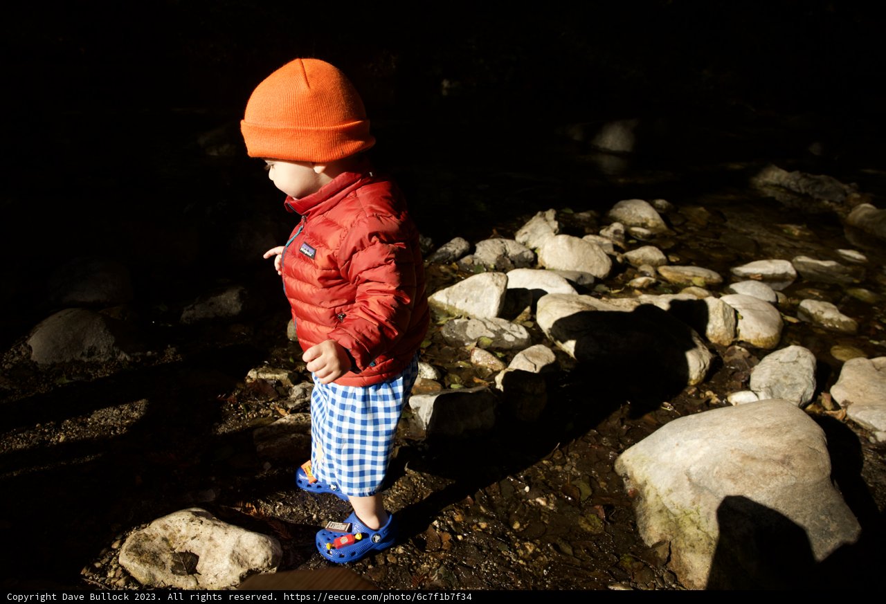 Little Explorer's Big Adventure