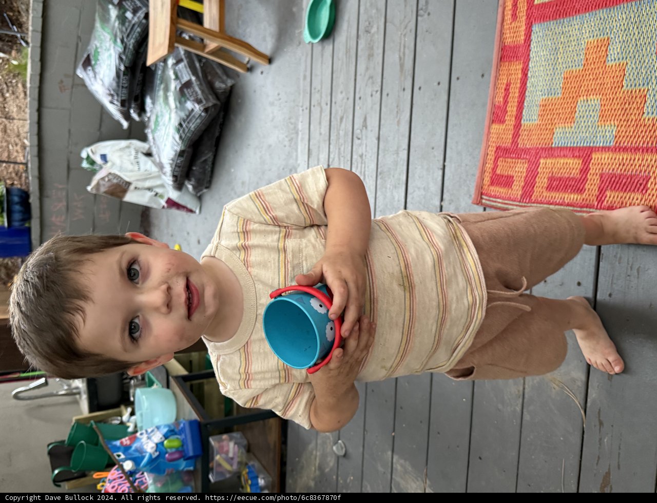 Playful Moments in September