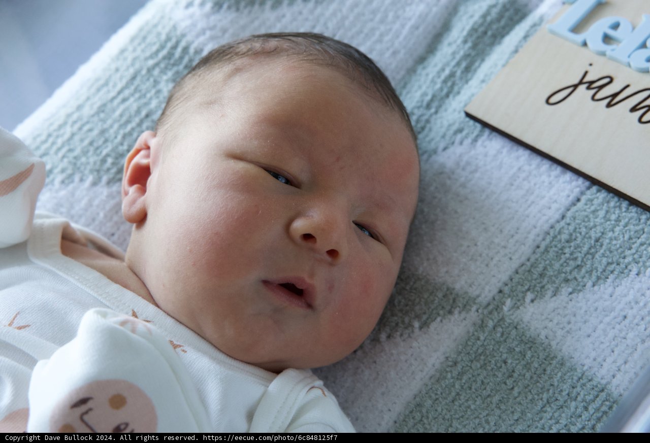 Welcome to the World, Leland