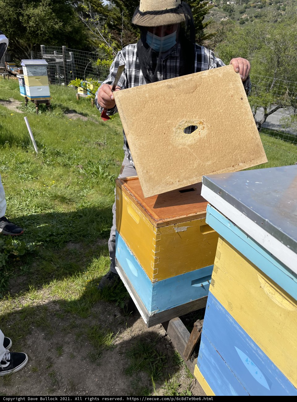 Beekeeper in Action