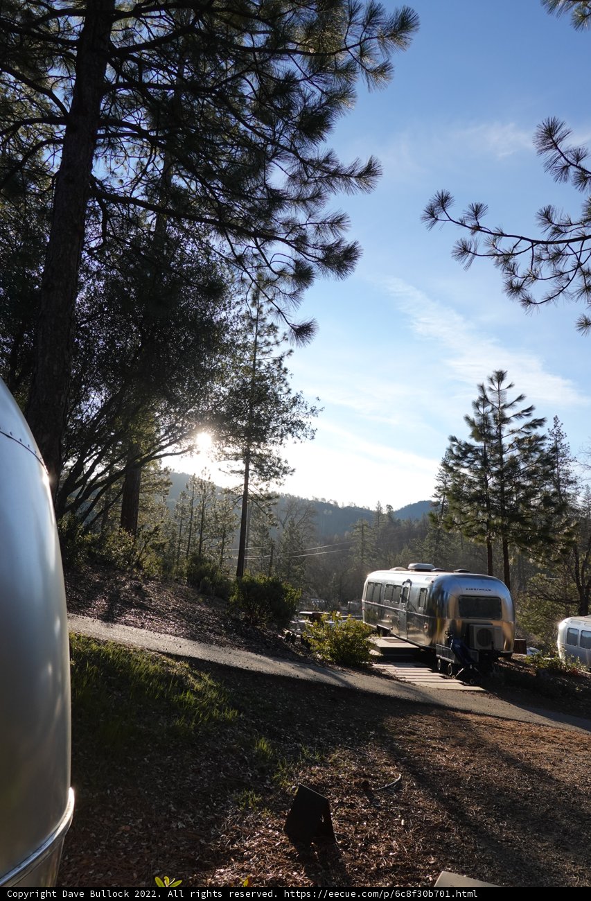 Airstreams nestled in a forest paradise