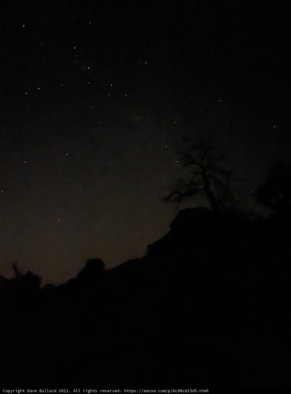Starry Night in Sandia Park