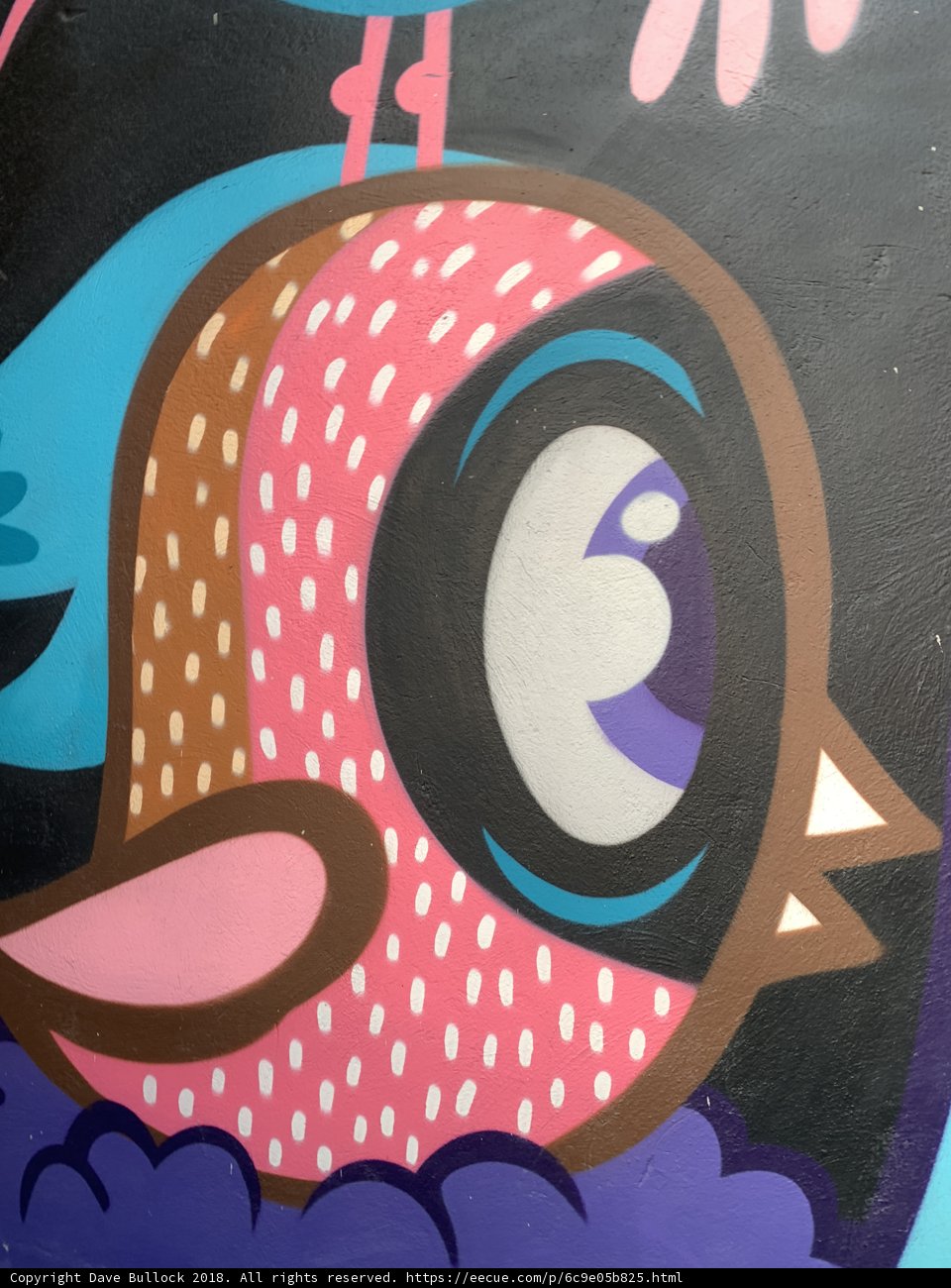 Eye-catching Avian Art