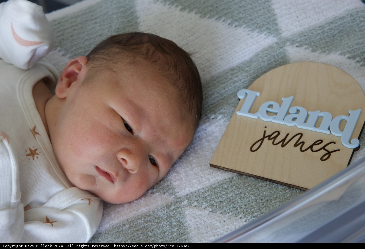 Welcome to the World, Leland James