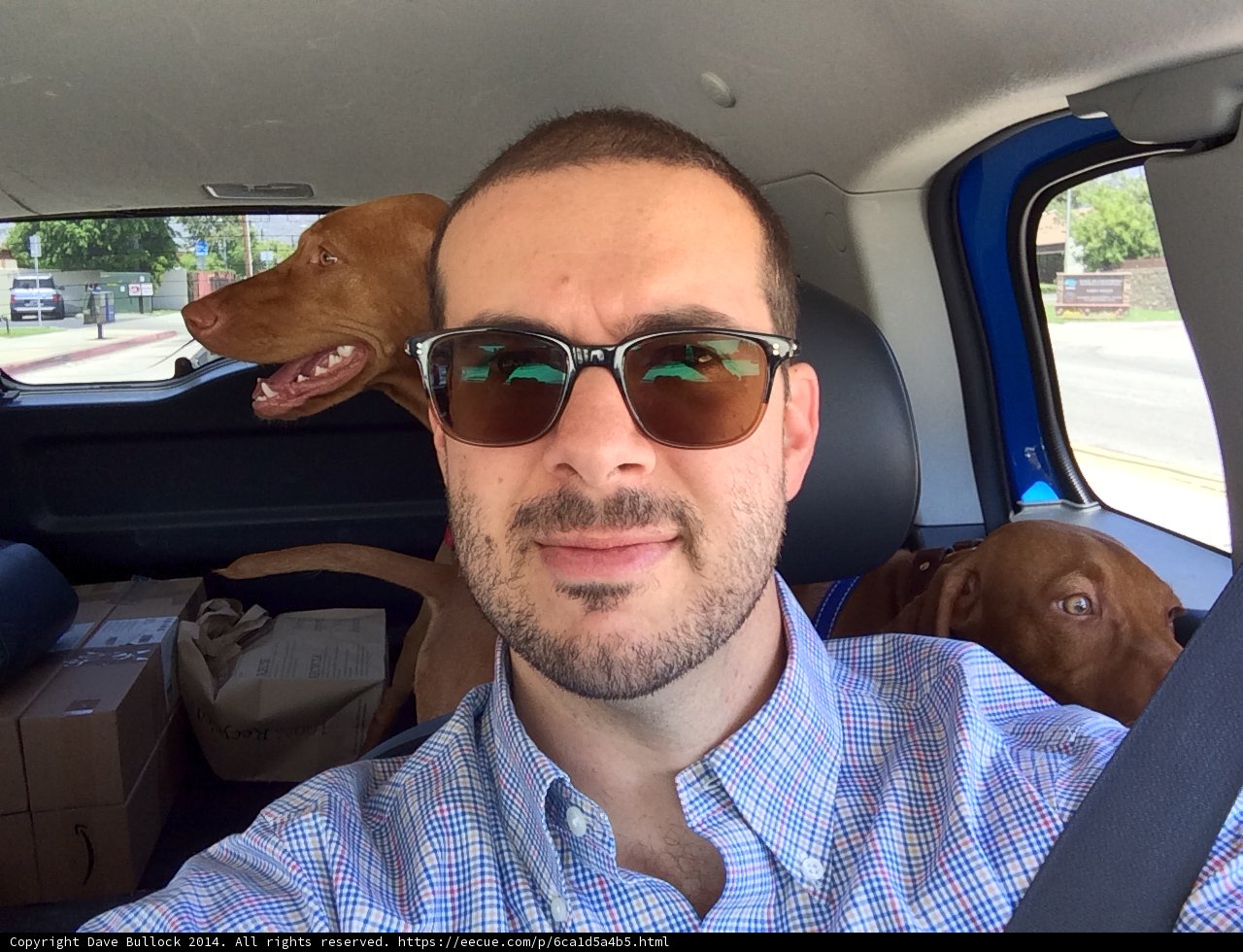 Cruising with Canine Companions