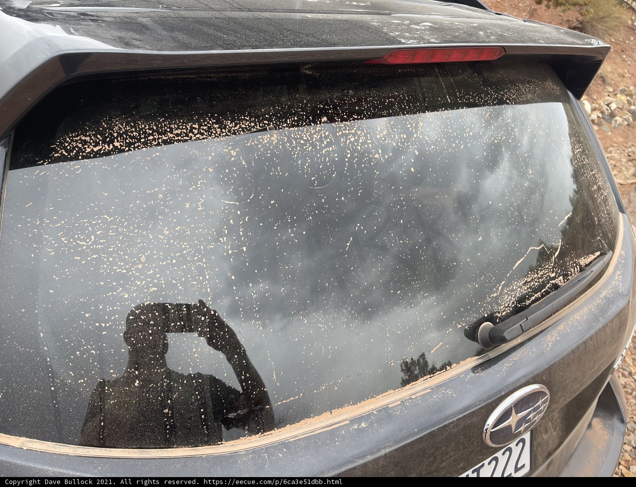 Bug-Covered Ride
