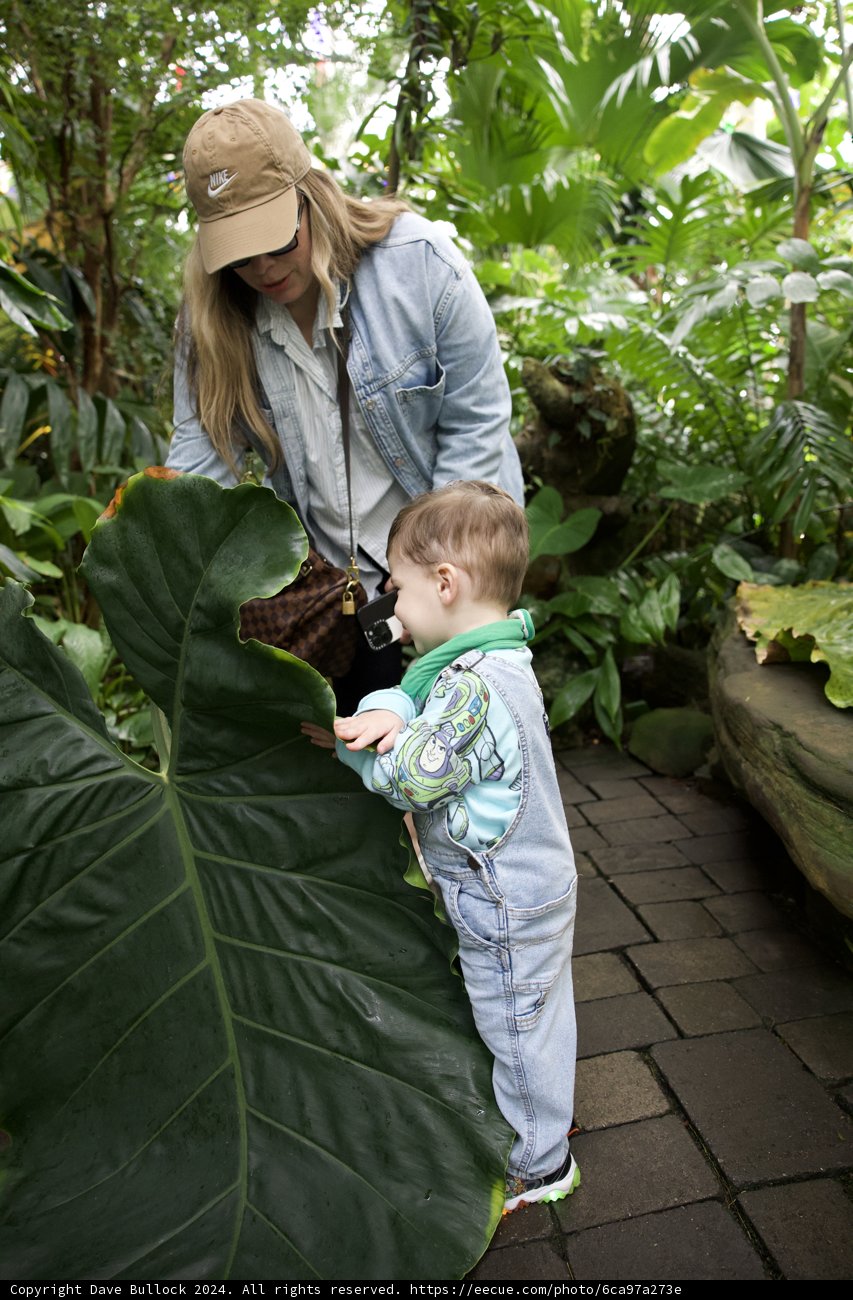 Nurturing Motherhood in Nature's Embrace