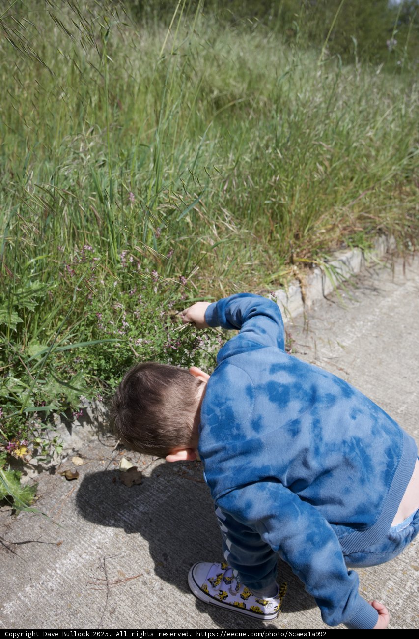 Curious Discoveries in Nature
