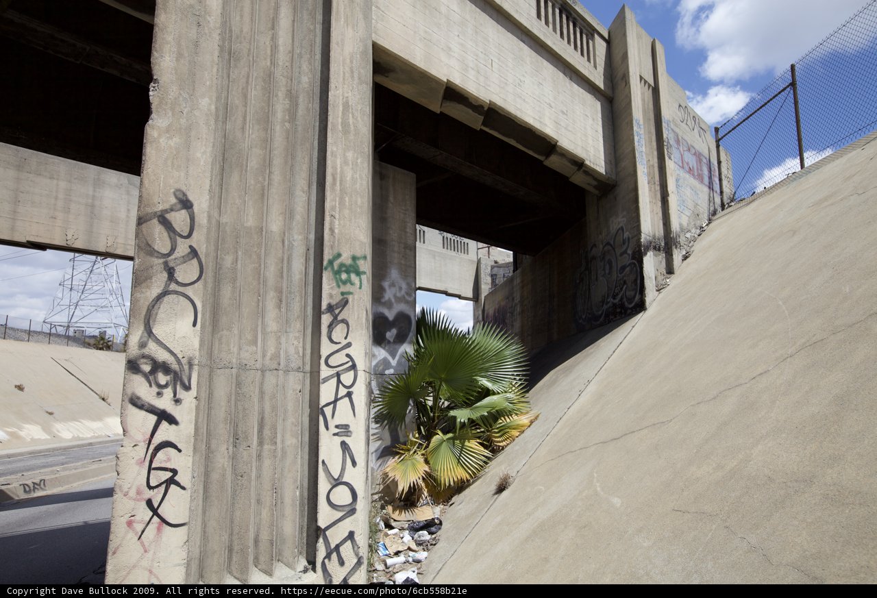 Riding the Concrete Ramp