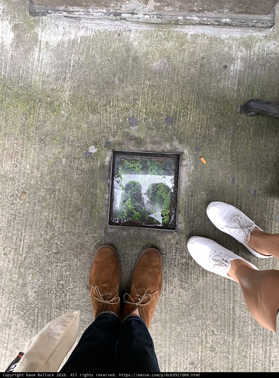 Sidewalk Standoff