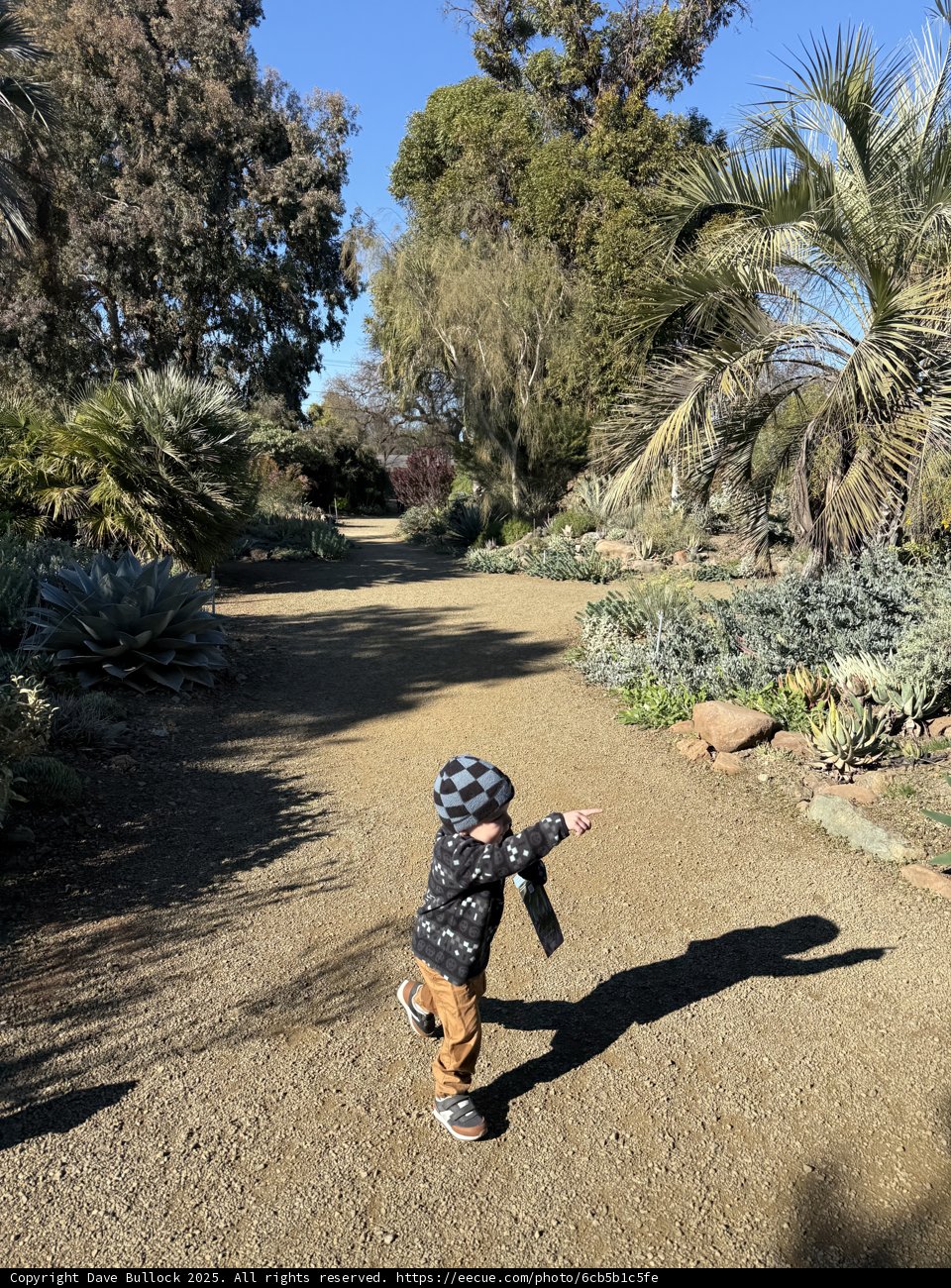 Adventures in the Garden Pathway
