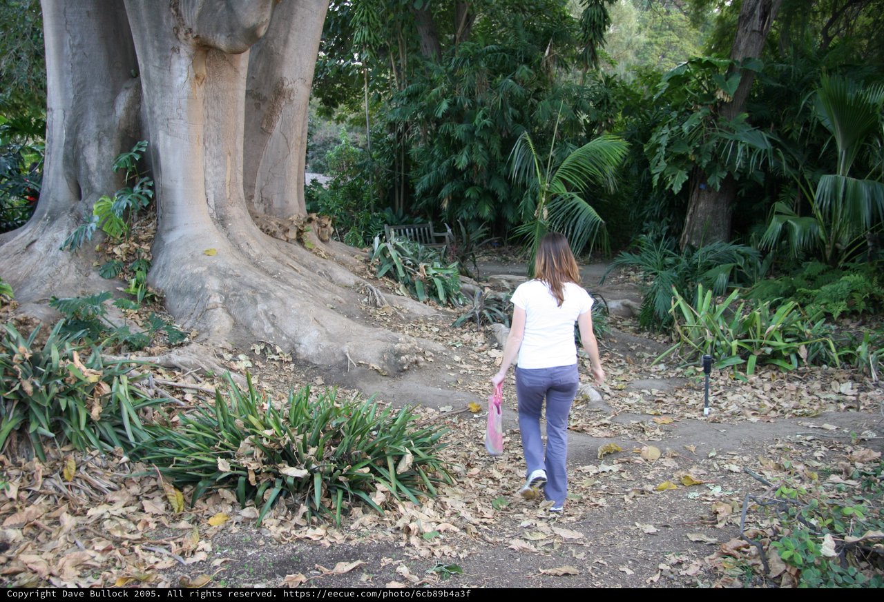 Woman Walking Along Tropical Garden Path Near Ancient Tree