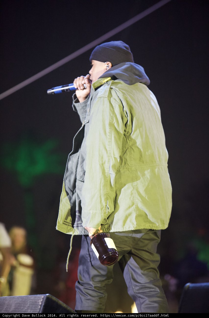 Solo Performance Under the Coachella Stars