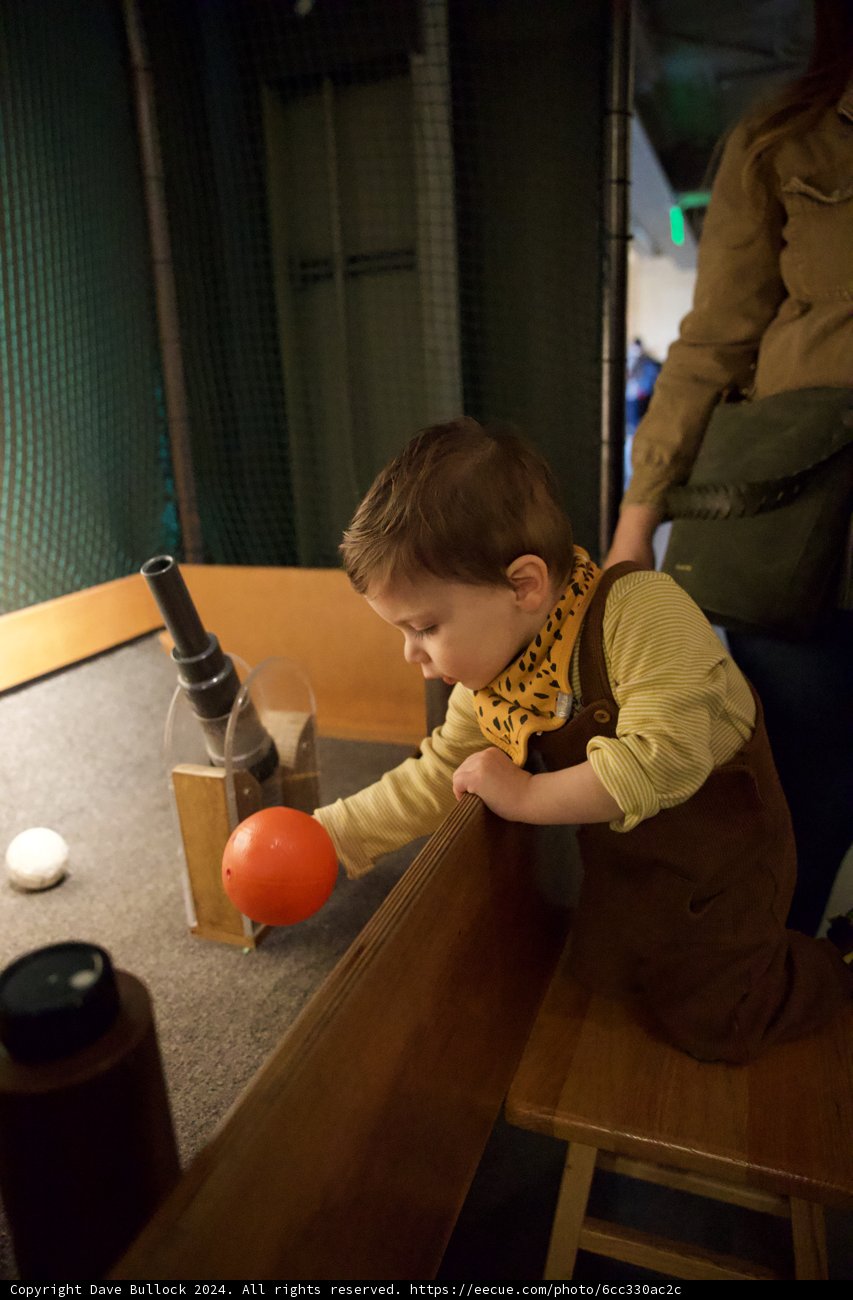Wesley's Museum Adventure: Playful Discovery