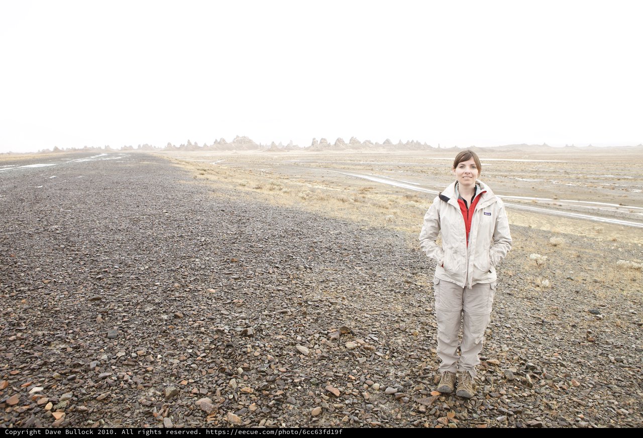 Lone Traveler on a Vast Desert Plain