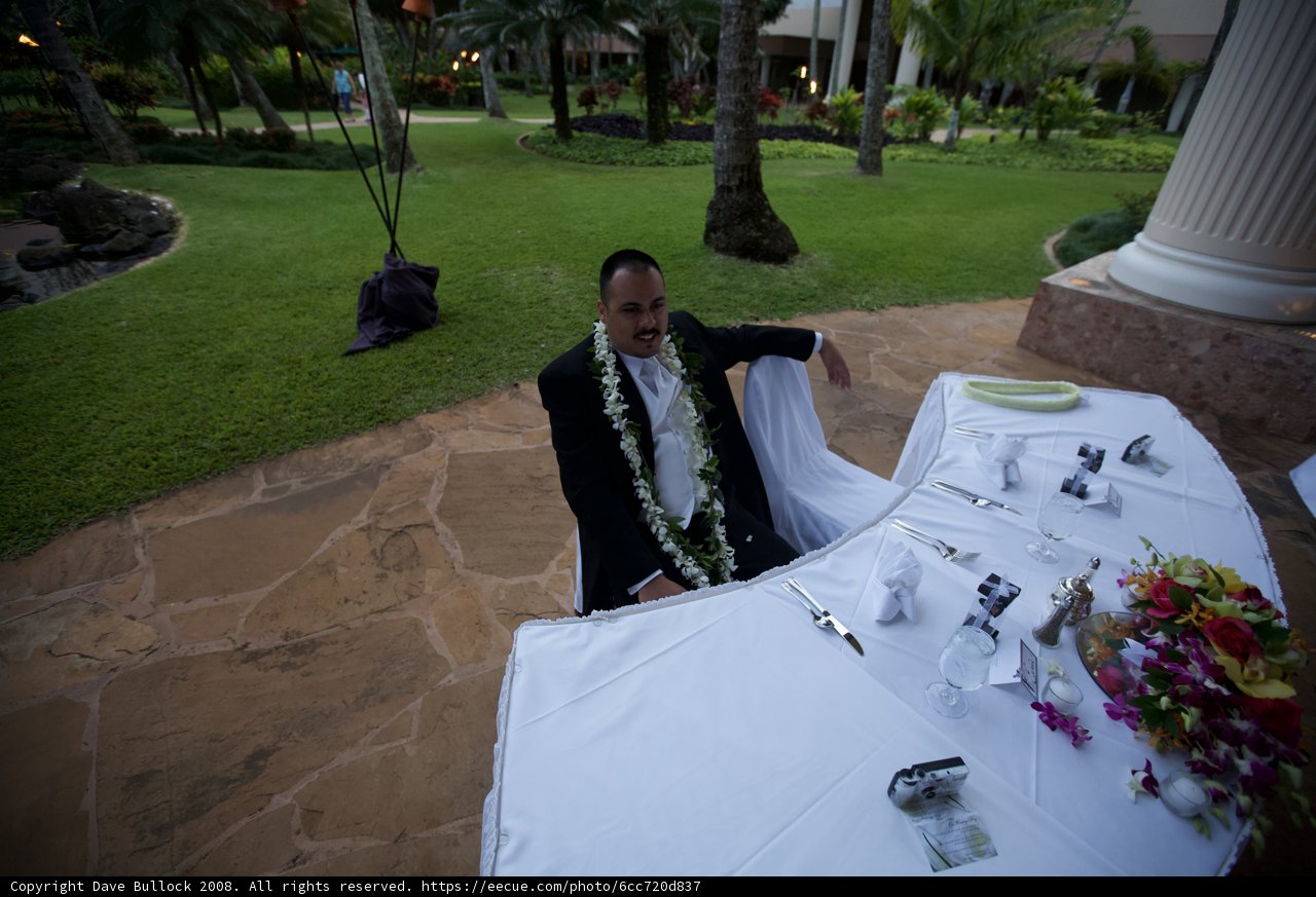 Wedding Bliss