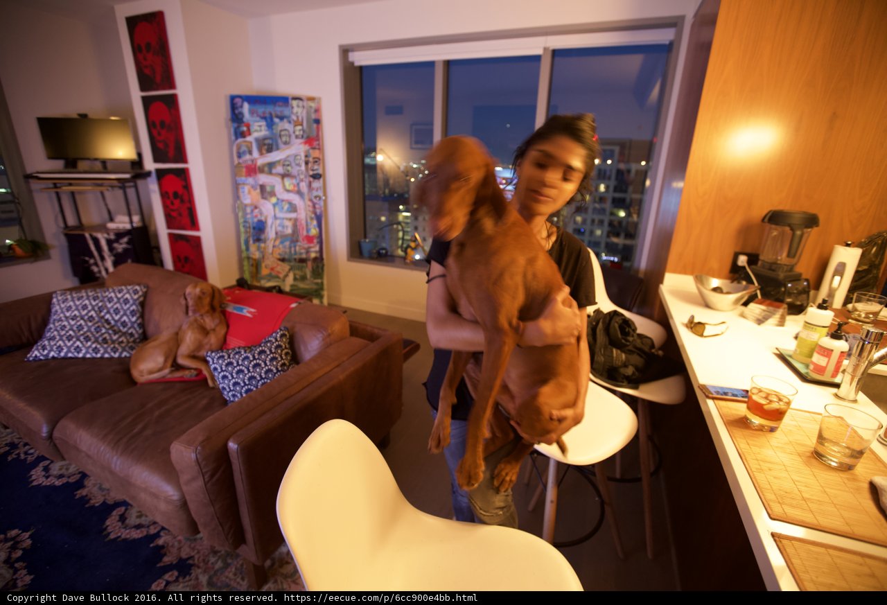 Woman and Dog in Stylish Living Room