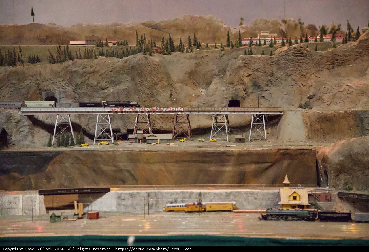 Miniature Majesty at Walnut Creek