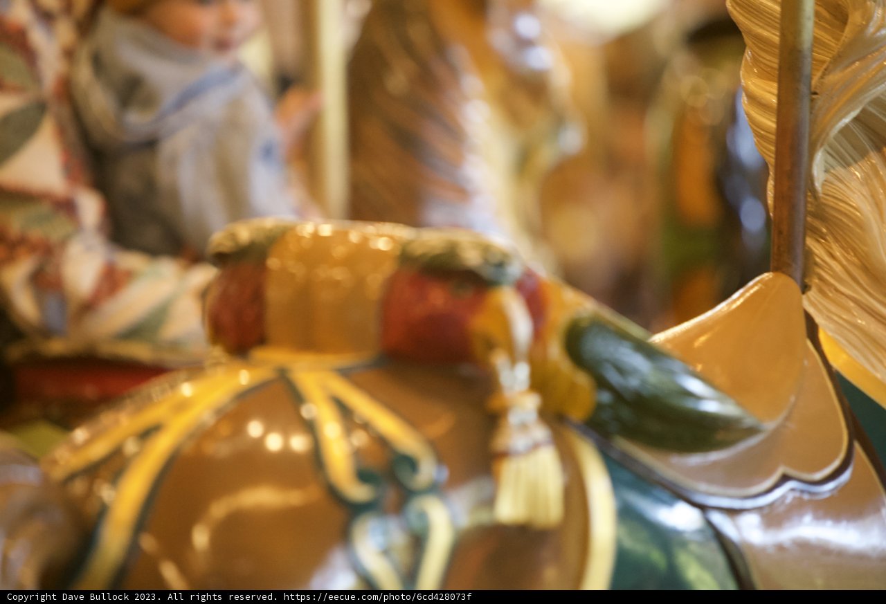 The Enchanting Carousel Horse
