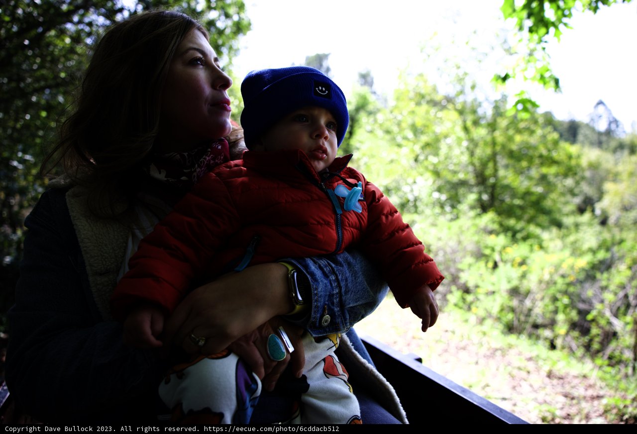 Cherished Moments at Tilden Park