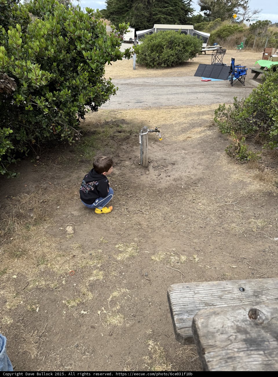 Morning Moments in Cambria Park