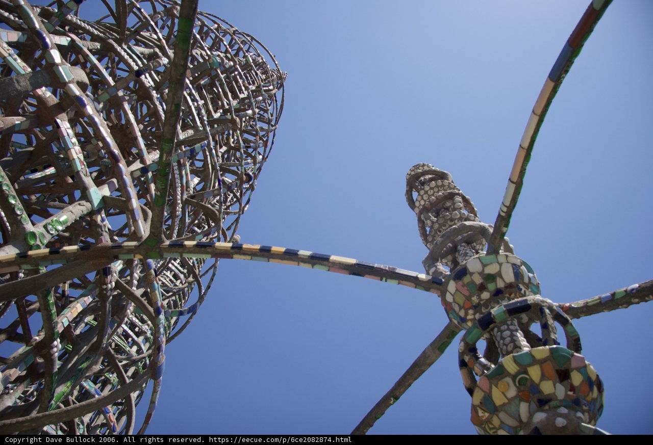 Towering Fun at the Amusement Park
