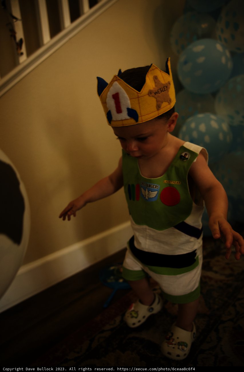 Little King Wesley's First Birthday Bash