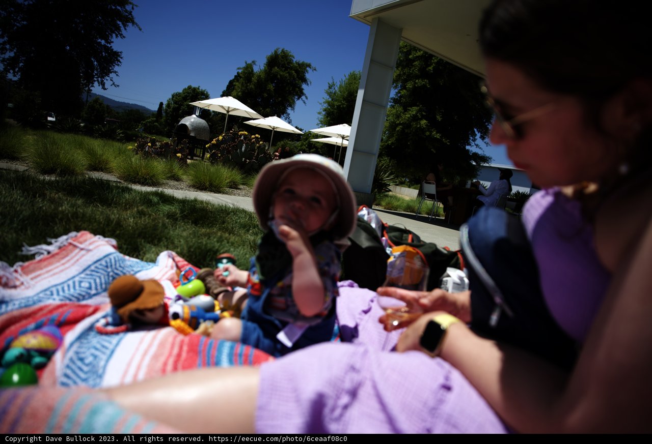 Summer Picnic Bliss