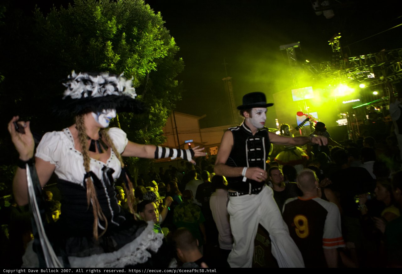 Costume Party at Night Club