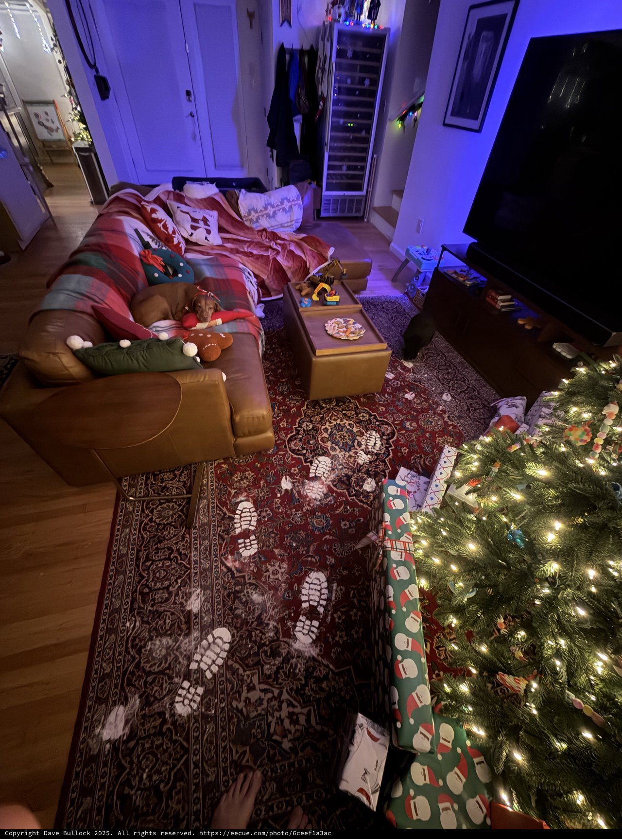 Cozy Christmas Morning Living Room with Decorated Tree