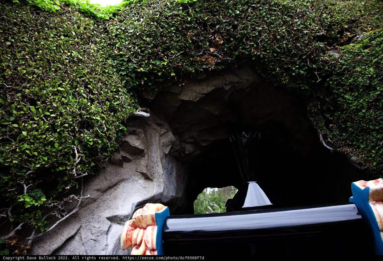 Enchanted Tunnel Adventure