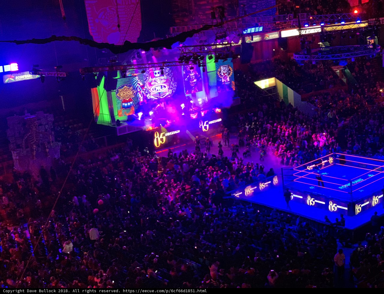 Wrestling Showdown Draws Massive Urban Crowd