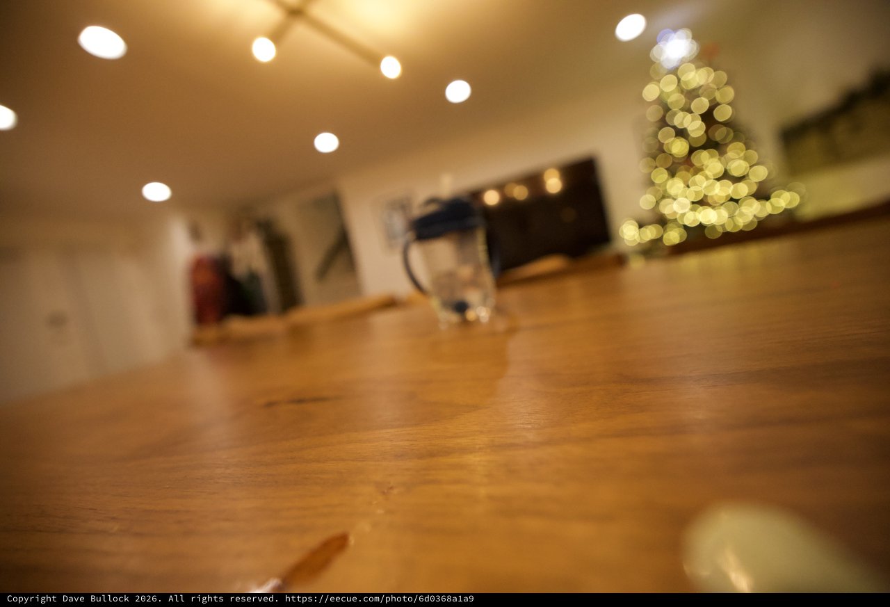 Cozy Holiday Evening at Home with Christmas Tree