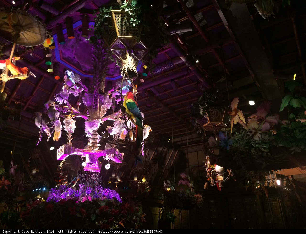 Colorful Chandelier Shines Brightly in Disneyland Club