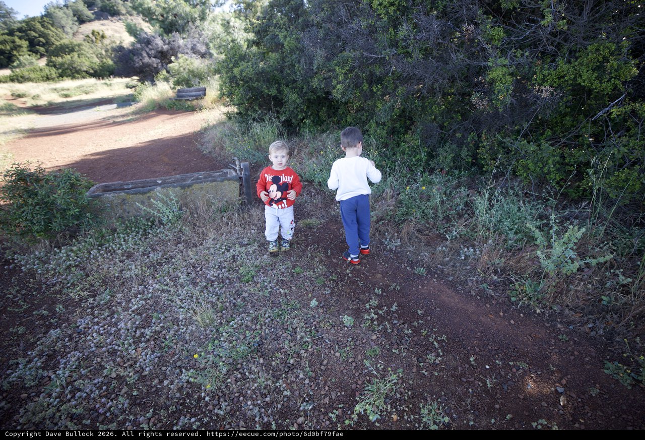 Two Young Boys Exploring a Dusty Trail Together