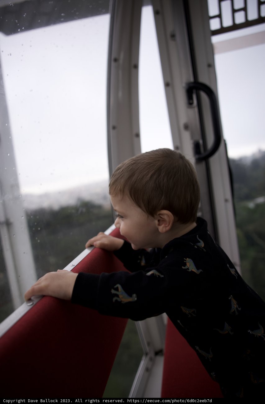 Wesley's Window Wonders