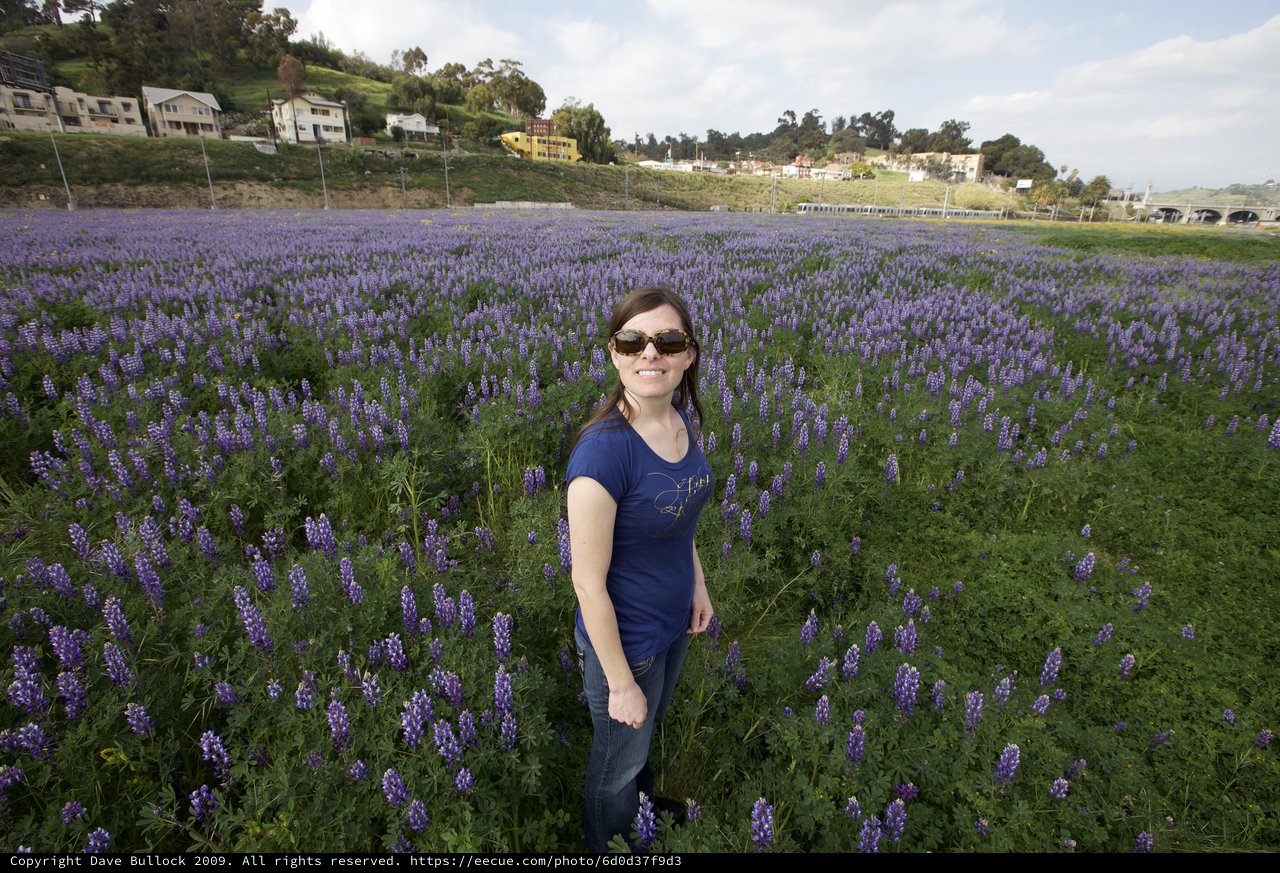 Woman Smiling Among Vast Purple Lupine Blooms