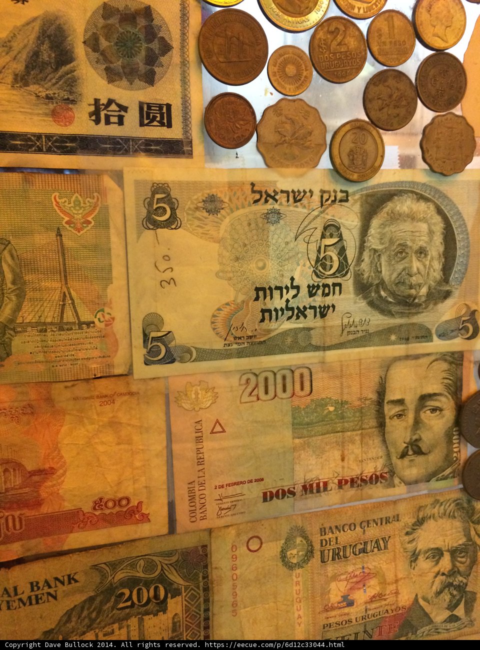 A Multicultural Collection of Currency