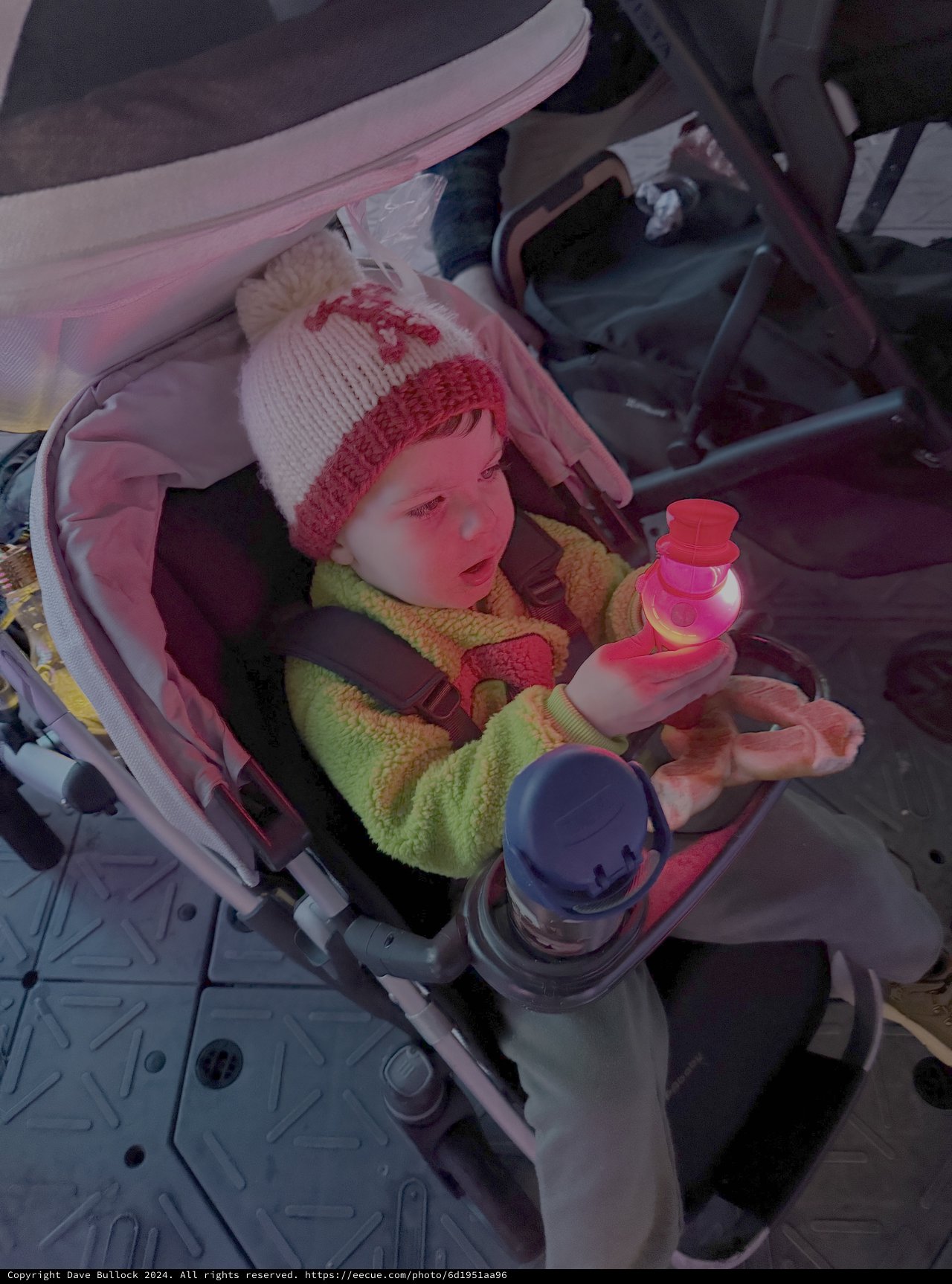 Baby in Stroller on Winter Day