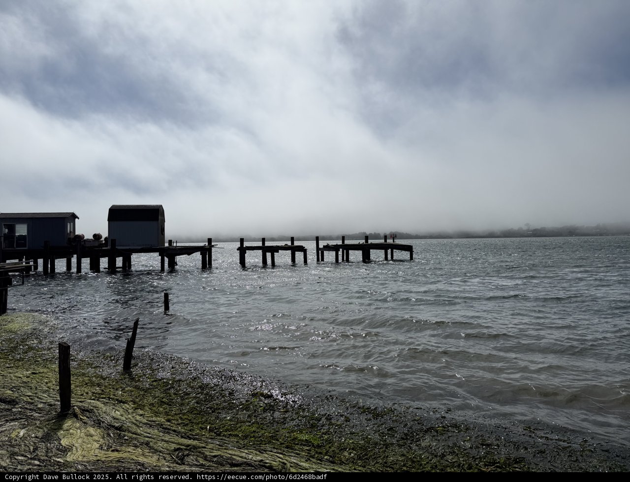 Tranquil Tides at Bodega Bay