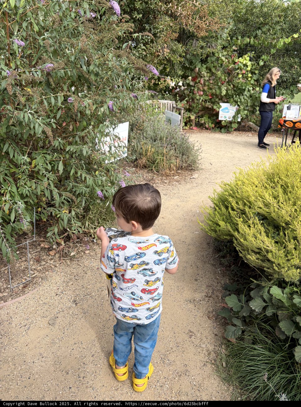Nature's Little Explorer
