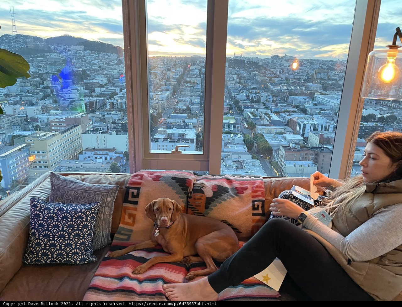 City Living with Doggy Love