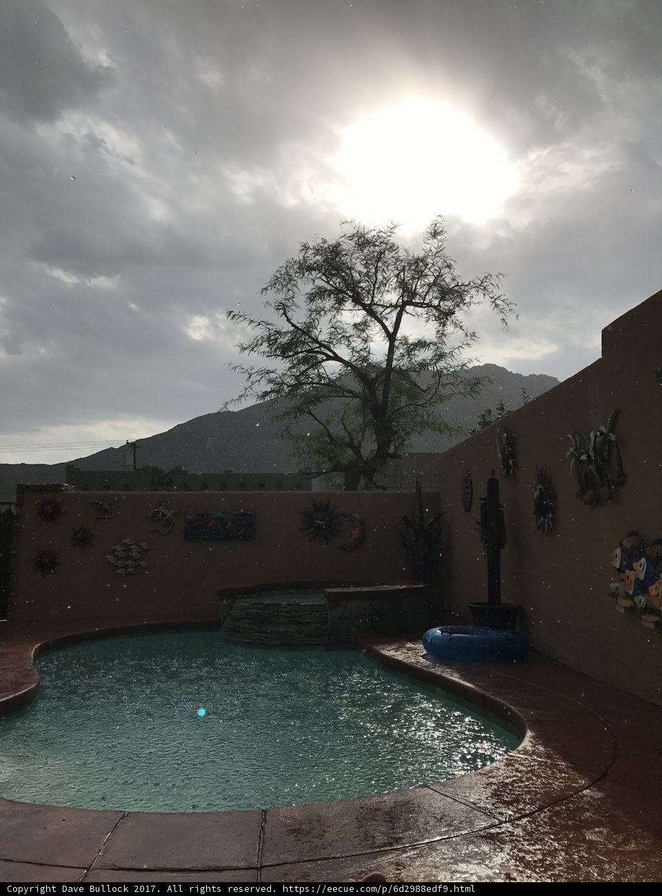 Backyard Oasis