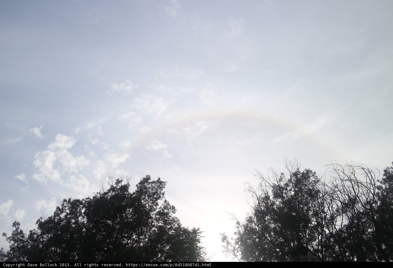 A Rainbow over the Trees