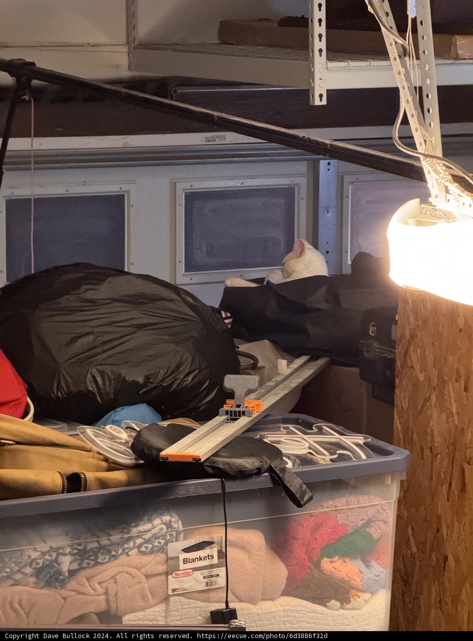 Cozy Cat Hideaway