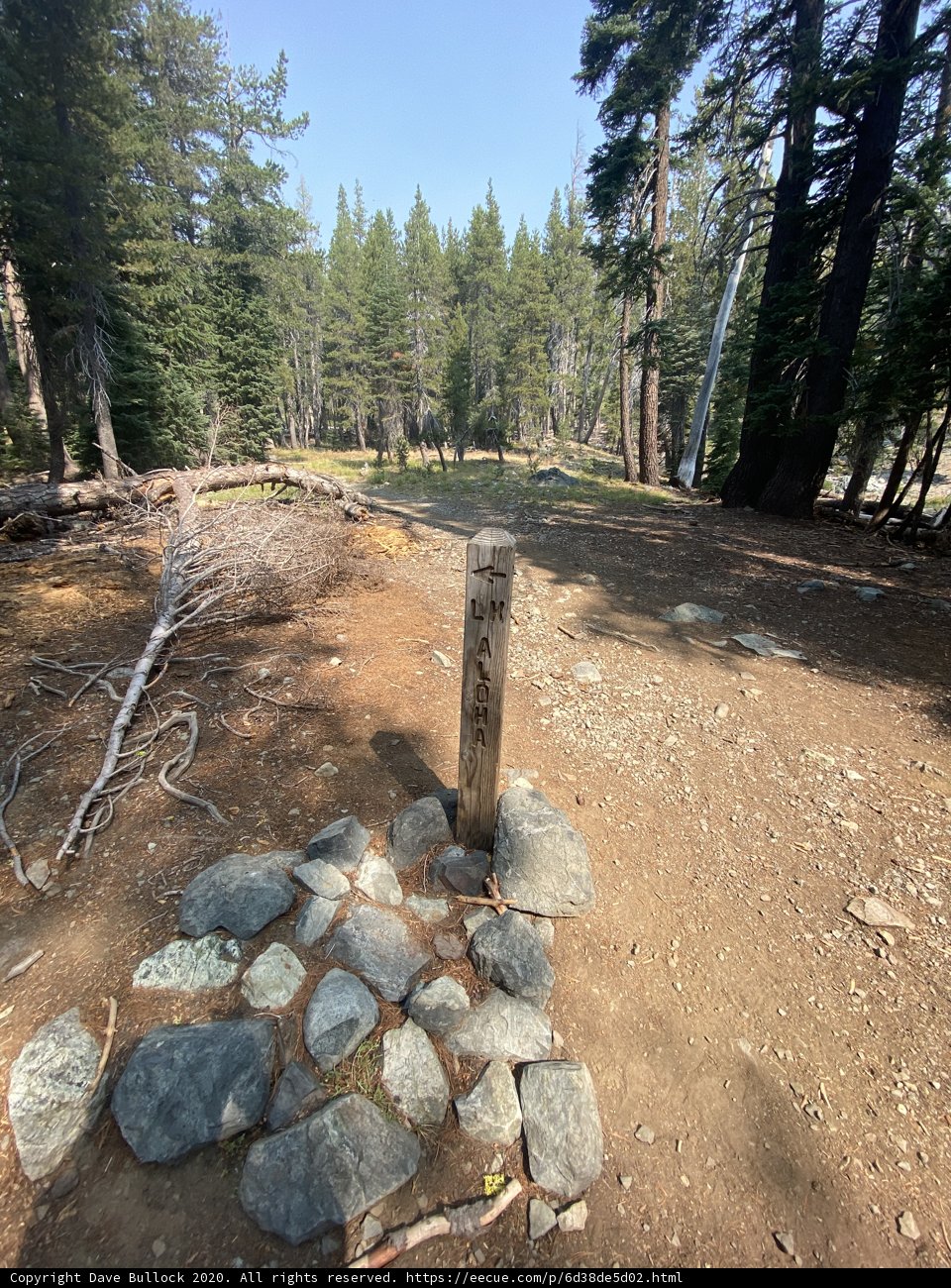 Trail Marker in the Heart of the Wilderness